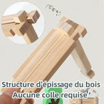 Jeu de Construction par épissage de bois - Vignette | Le Poussin Ludique