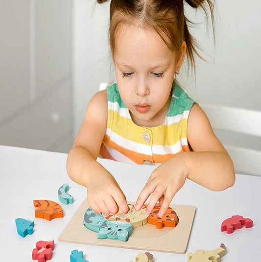 Jeu évolutif puzzle enfant motricité