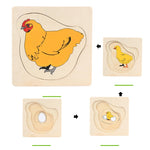 puzzle ludique Montessori  en bois cycle de vie  pour enfant - Vignette | Le Poussin Ludique